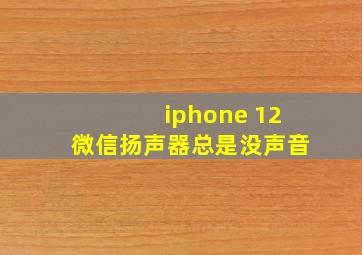 iphone 12微信扬声器总是没声音